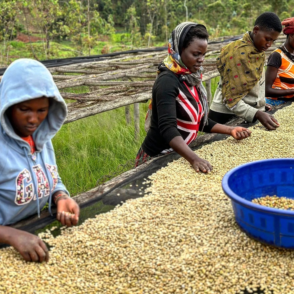 RWANDA MUYONGWE specialty szemes kávé