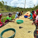 RWANDA MUYONGWE specialty szemes kávé