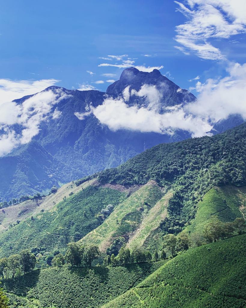 COLOMBIA La Ricaurte specialty szemes kávé